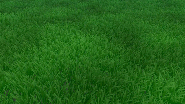 Modeling grass in 3D space